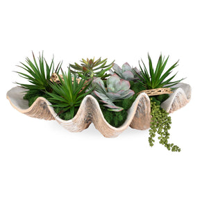 Seaside Breeze Succulents - Light Brown by Uttermost - View 1