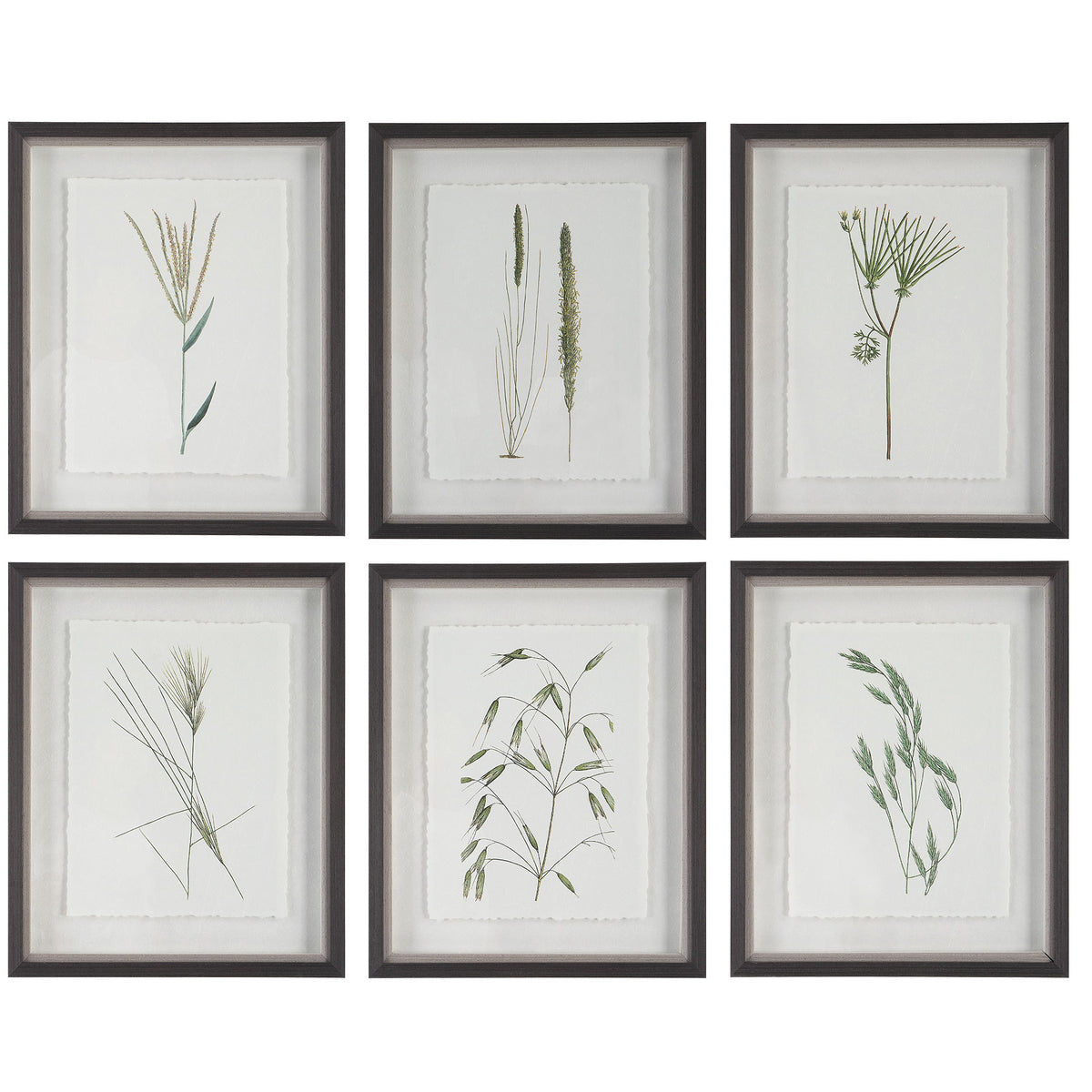 Forest Finds Finds Framed Prints (Set of 6) - White / Green by Uttermost - View 1