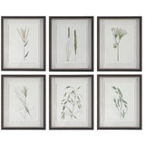 Forest Finds Finds Framed Prints (Set of 6) - White / Green by Uttermost - View 1