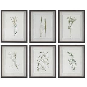 Forest Finds Finds Framed Prints (Set of 6) - White / Green by Uttermost - View 1