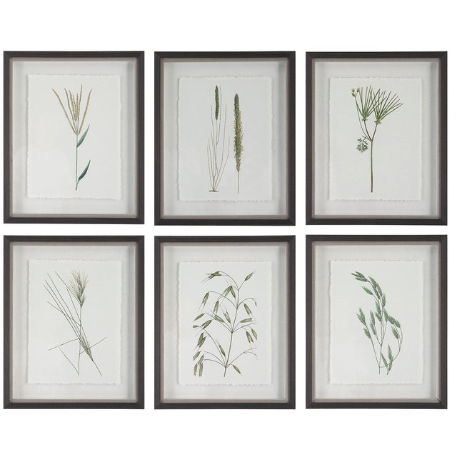 Forest Finds Finds Framed Prints (Set of 6) - White / Green by Uttermost - View 1