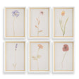 Wild Flourish Framed Floral Prints (Set of 6) - Light Brown by Uttermost - View 1