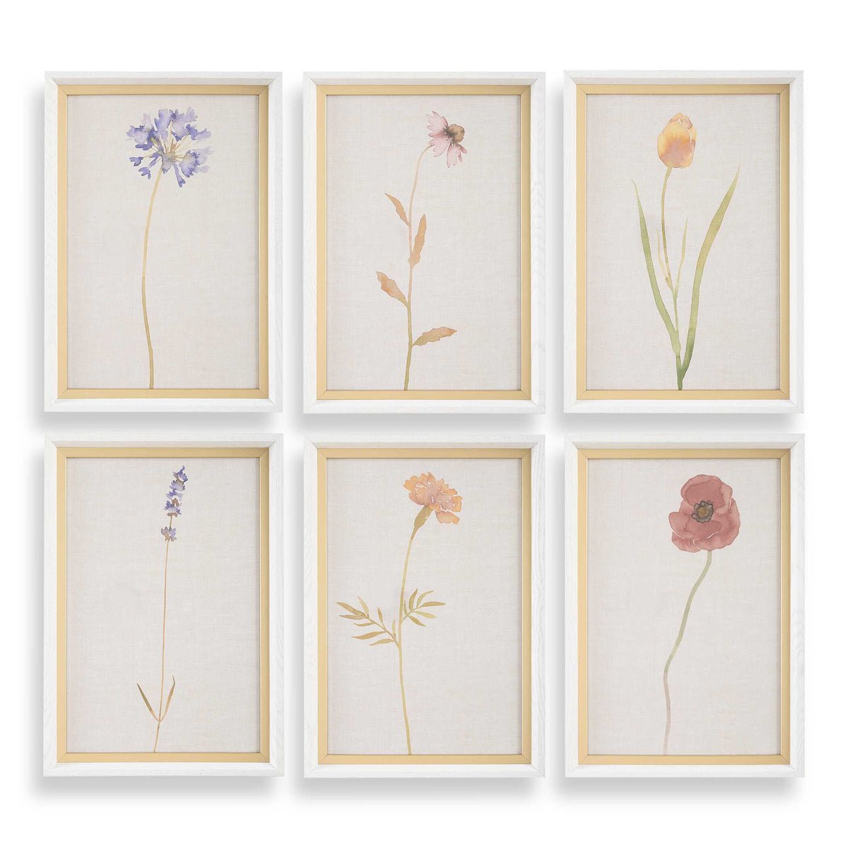 Wild Flourish Framed Floral Prints (Set of 6) - Light Brown by Uttermost - View 1