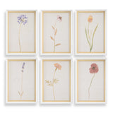Wild Flourish Framed Floral Prints (Set of 6) - Light Brown by Uttermost - View 1