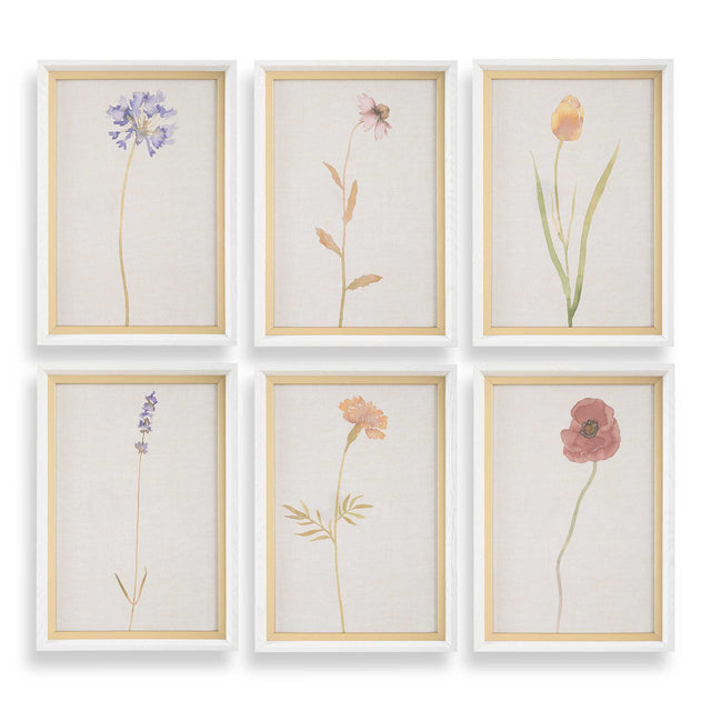Wild Flourish Framed Floral Prints (Set of 6) - Light Brown by Uttermost - View 1