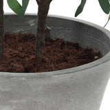 Marisol Potted Olive Plant - Gray / Green by Uttermost - View 7