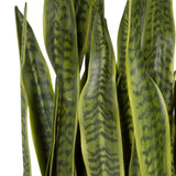 Fasita Brass Planter (Set of 2) - Green / Light Brown by Uttermost - View 4