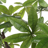 Pachira Money Money Tree - White by Uttermost - View 6
