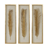 Palma Leaf Shadow Box (Set of 3) - Gold / White by Uttermost - View 1
