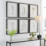 Forest Finds Finds Framed Prints (Set of 6) - White / Green by Uttermost - View 3