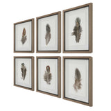 Birds Of A Feather Framed Prints (Set of 6) - Dark Brown by Uttermost - View 6