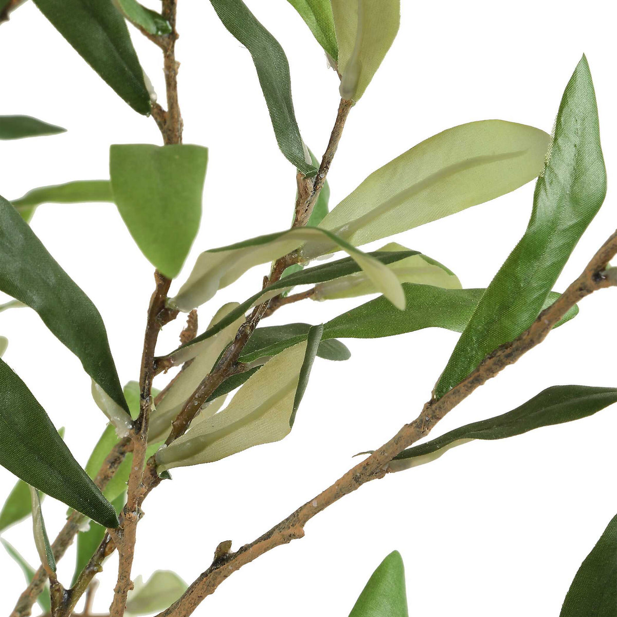 Abundance Potted Olive Tree - Black / Green by Uttermost - View 4