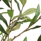 Abundance Potted Olive Tree - Black / Green by Uttermost - View 4