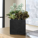 Greystone Indoor-Outdoor Succulent - Green by Uttermost - View 2