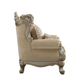 Acme - Ranita Chair W/2 Pillows 51042 Fabric & Champagne Finish