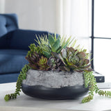 Yuma Succulent Centerpiece - Gray by Uttermost - View 2