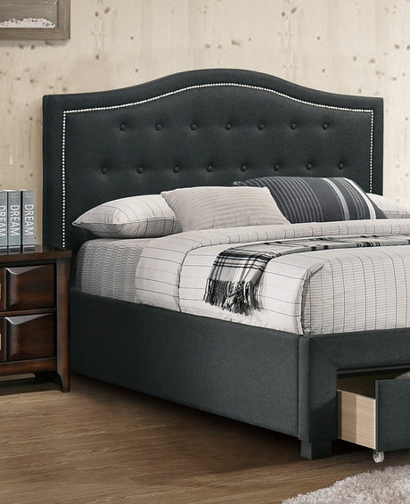 23569828