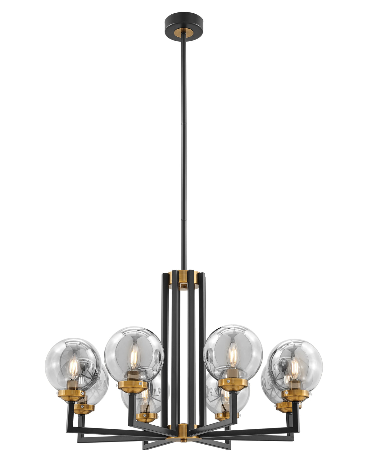 Monachopsis Large Chandelier // Gold and Black  | Finesse