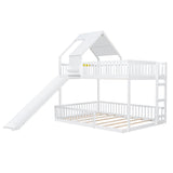 24599819