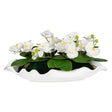 Opulence Orchid Centerpiece With Bowl - White by Uttermost - View 1