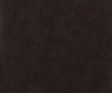 Solid dark brown color swatch
