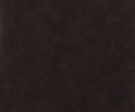 Solid dark brown color swatch