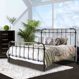 24603916