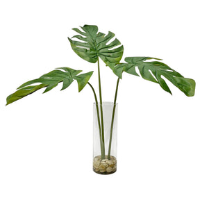 Ibero Split Leaf Palm - Green by Uttermost - View 1