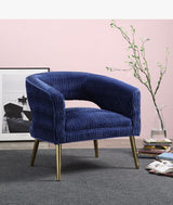 Acme - Aistil Accent Chair 59675 Blue Velvet & Gold Finish