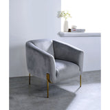 Carlson Accent Chair 59790 Gray Velvet & Gold Finish | Acme | Home Elegance USA