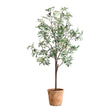 Olea Potted Olive Tree - Green by Uttermost - View 1