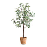 Olea Potted Olive Tree - Green by Uttermost - View 1