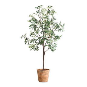 Olea Potted Olive Tree - Green by Uttermost - View 1