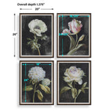 Florals On Black Framed Prints (Set of 4) by Uttermost - View 8