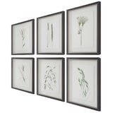 Forest Finds Finds Framed Prints (Set of 6) - White / Green by Uttermost - View 6