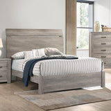 23569009