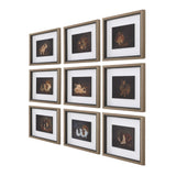 Resting Bunny Framed Prints (Set of 9) - Dark Brown by Uttermost - View 4