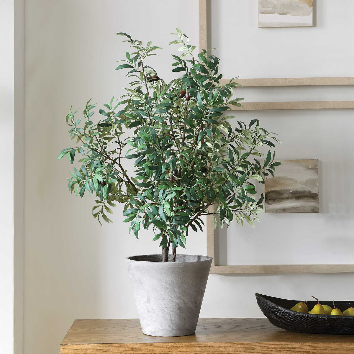 Marisol Potted Olive Plant - Gray / Green by Uttermost - View 2