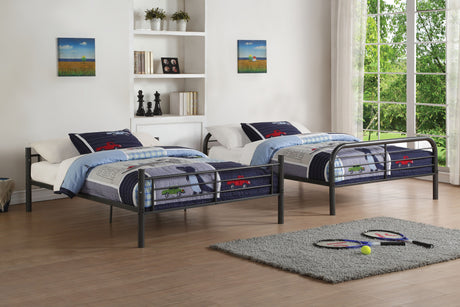 23444151