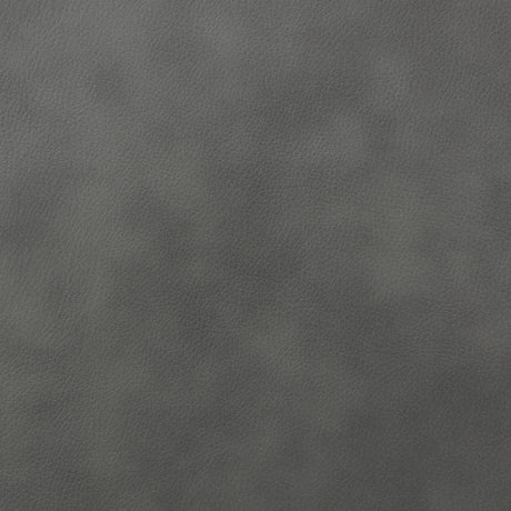 Recliner - Raelynn Upholstered Recliner Chair Grey