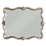 Acme - Esteban Mirror 62205 Antique Champagne Finish