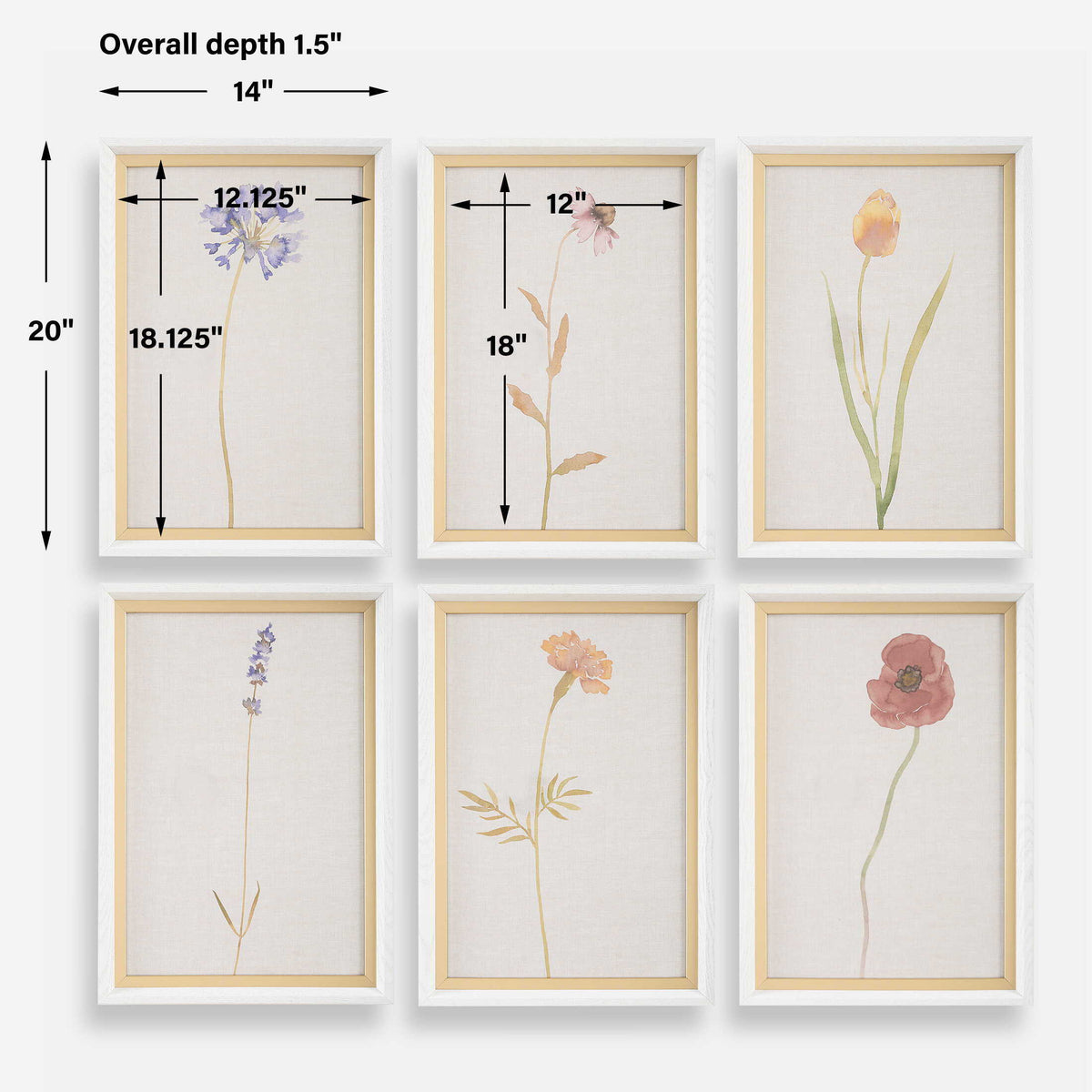 Wild Flourish Framed Floral Prints (Set of 6) - Light Brown by Uttermost - View 7