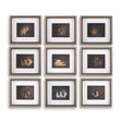 Resting Bunny Framed Prints (Set of 9) - Dark Brown by Uttermost - View 1