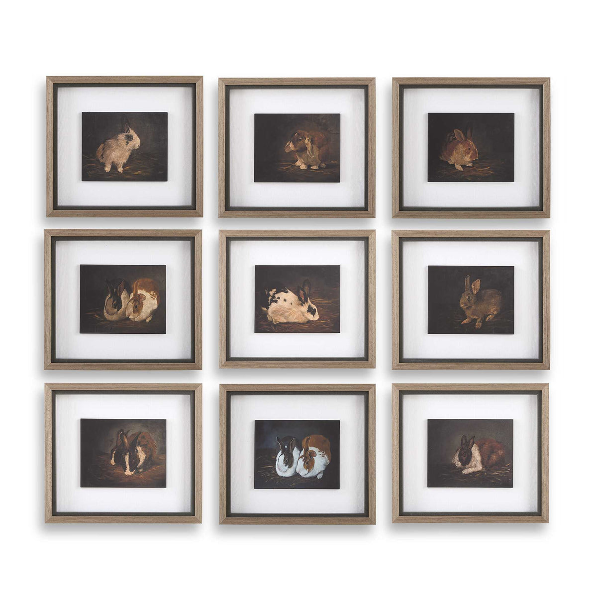 Resting Bunny Framed Prints (Set of 9) - Dark Brown by Uttermost - View 1