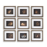 Resting Bunny Framed Prints (Set of 9) - Dark Brown by Uttermost - View 1