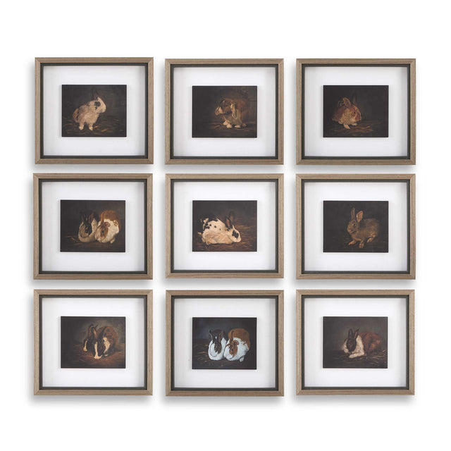 Resting Bunny Framed Prints (Set of 9) - Dark Brown by Uttermost - View 1