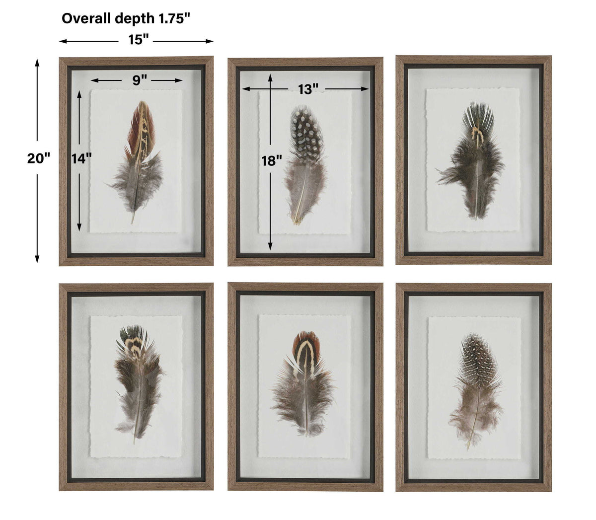 Birds Of A Feather Framed Prints (Set of 6) - Dark Brown by Uttermost - View 9