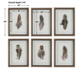 Birds Of A Feather Framed Prints (Set of 6) - Dark Brown by Uttermost - View 9