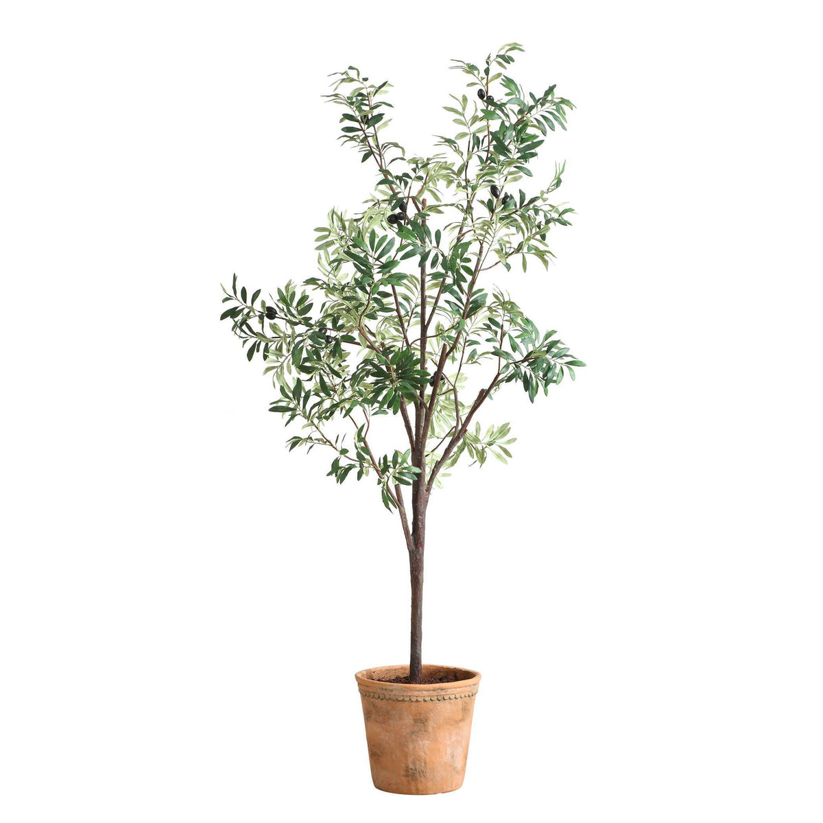 Olea Potted Olive Tree - Green by Uttermost - View 3