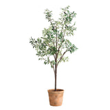 Olea Potted Olive Tree - Green by Uttermost - View 3